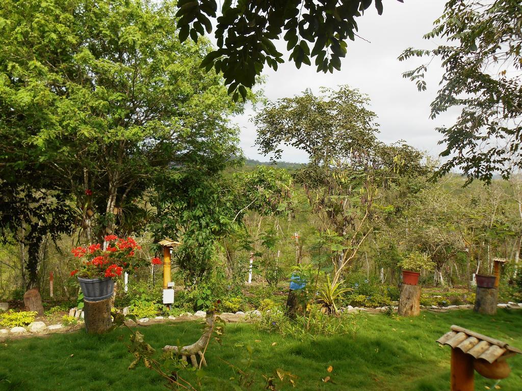 Villa Curia Montanita Exterior photo